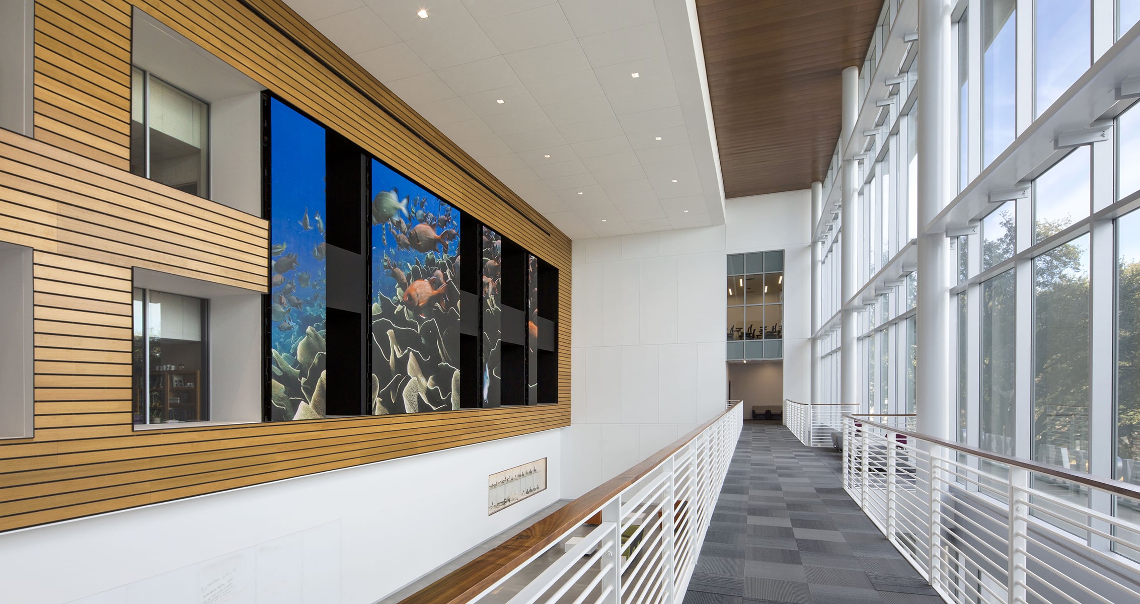 Onstead Science Center walking bridge