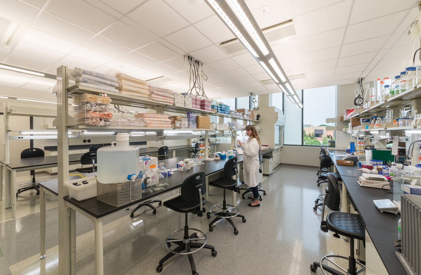 lab
