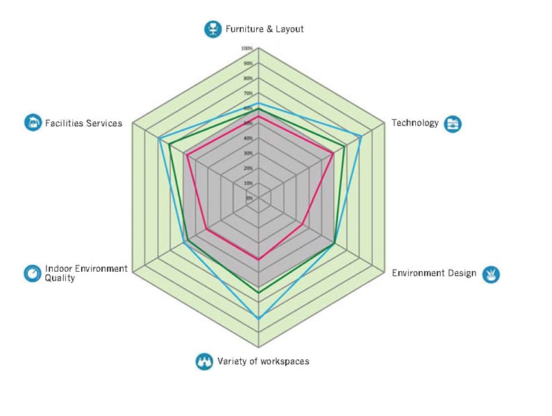lessman-spider