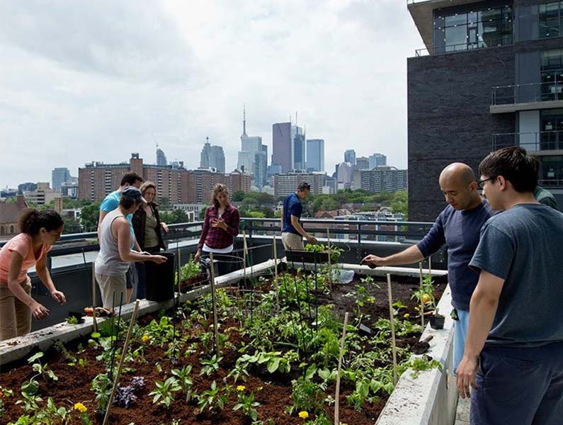 regentparkgarden