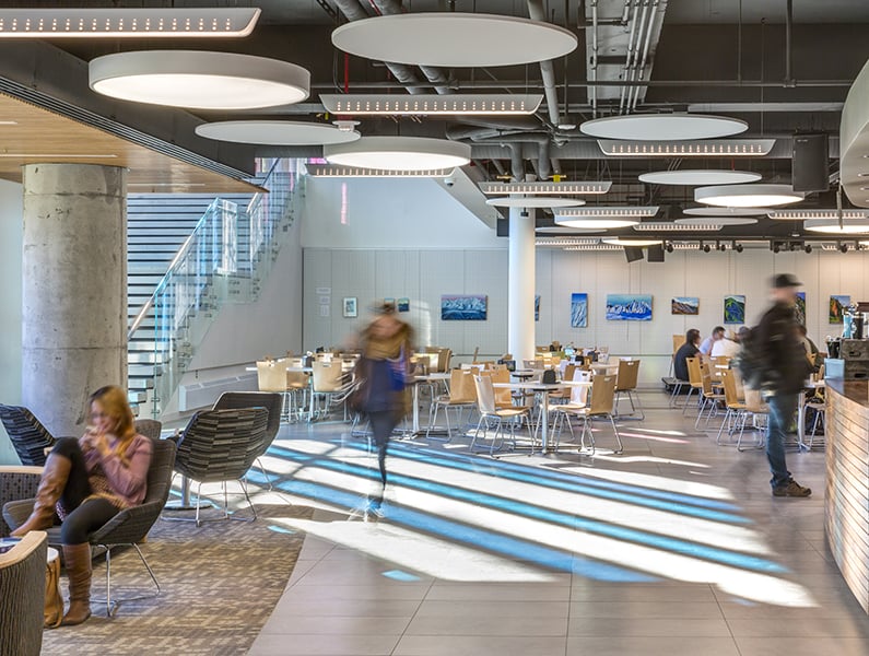 Cafeteria with students studying and walking through, and with bright blue shadows cast on the floor.