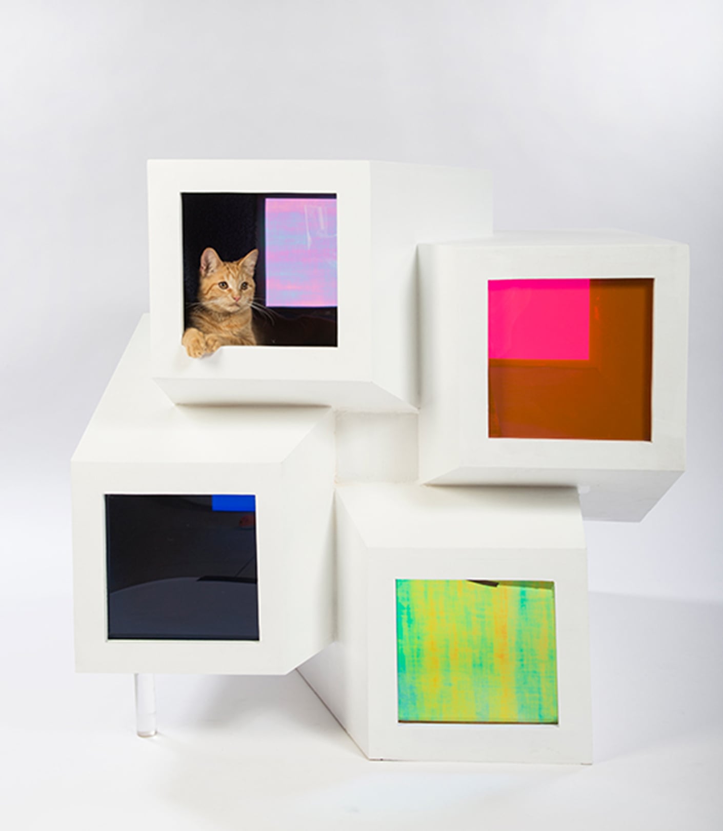 cat house