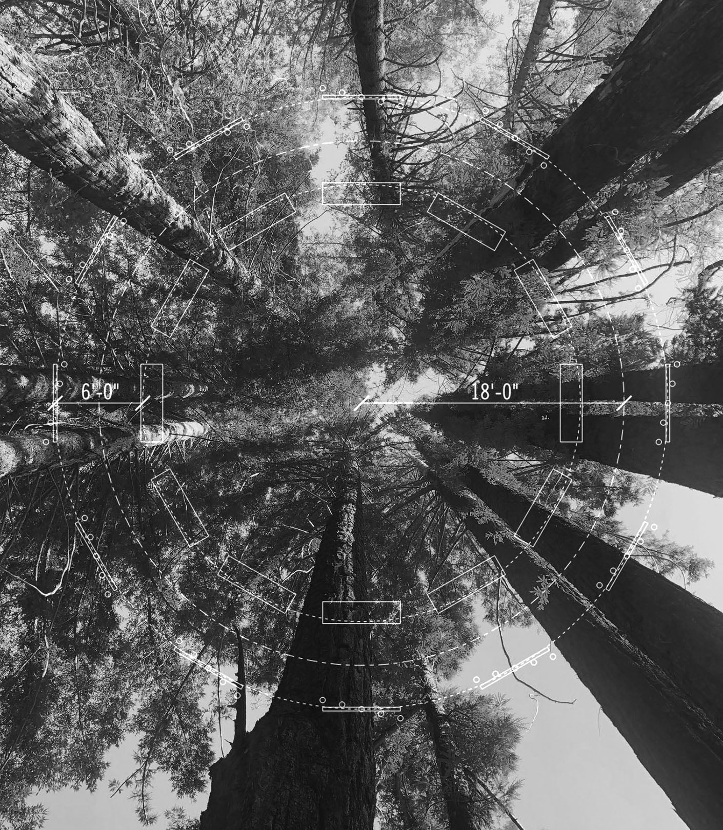 Black and White Image showing the plans for Chimehenge overlaid on the fairy circle of trees