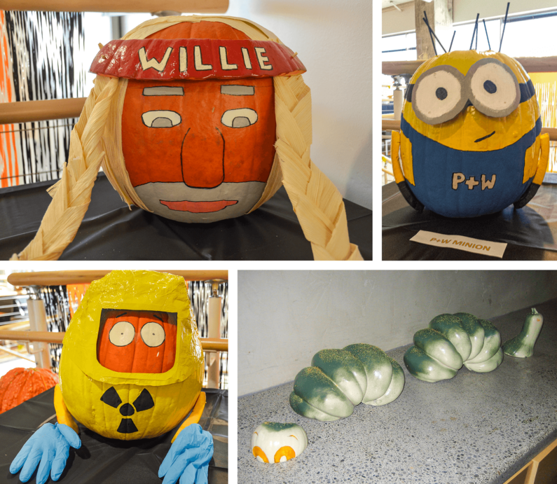 Omar's Winning Pumpkins