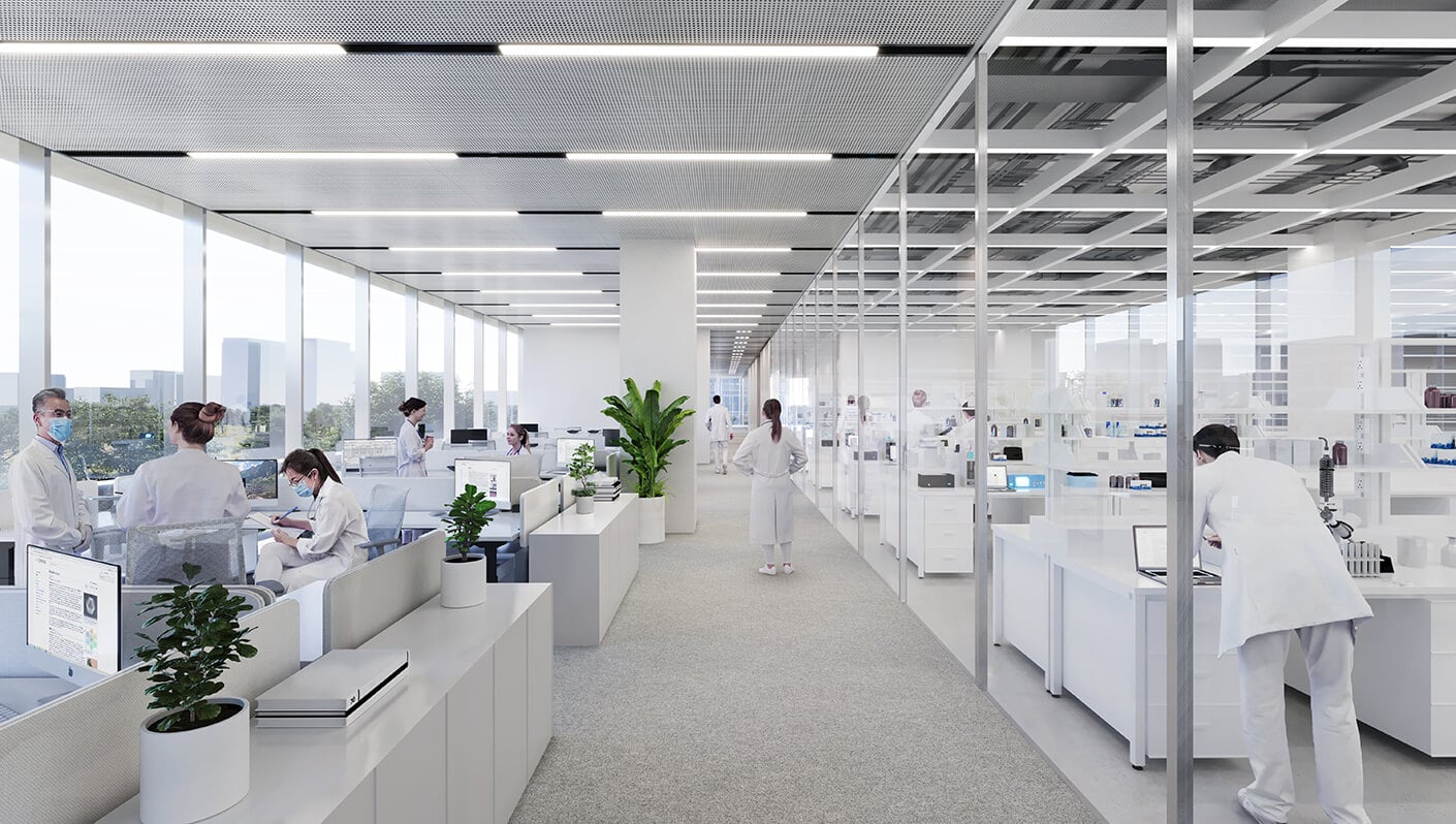lab