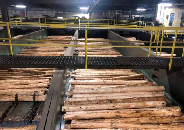Tree Sorting on the Conveyor Belt