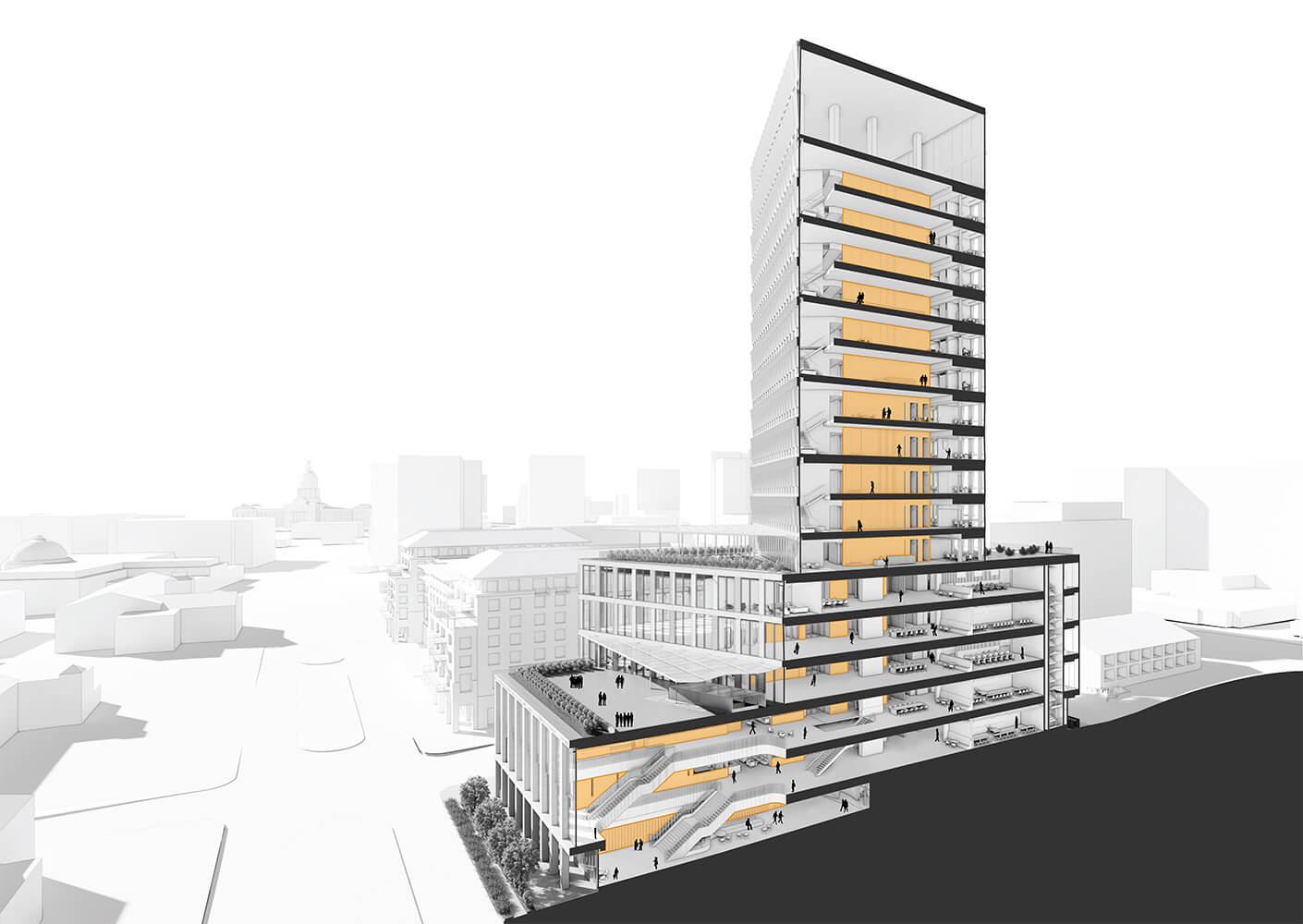 A cross-section rendering of Mulva Hall