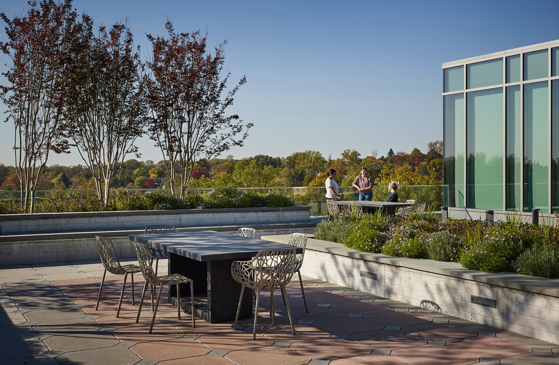 Rooftop garden with tables, chairs, and people enjoying a sunny day amid greenery.