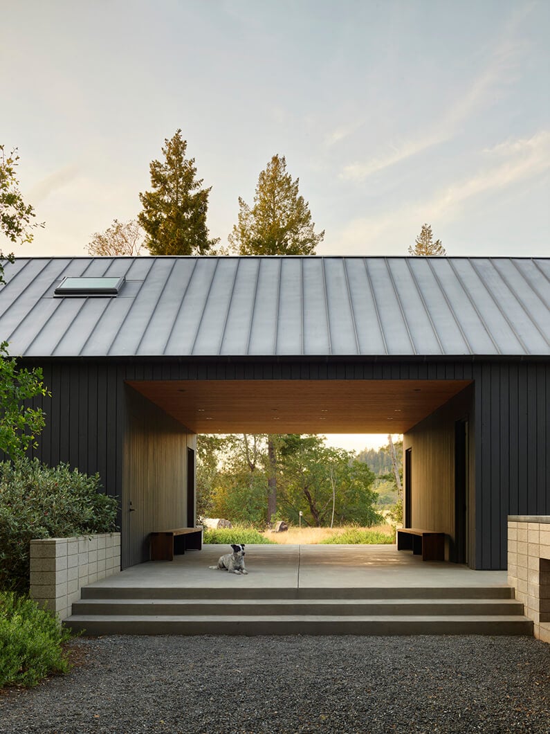 Modern house with open passageway, trees in background, and a dog sitting on the steps.