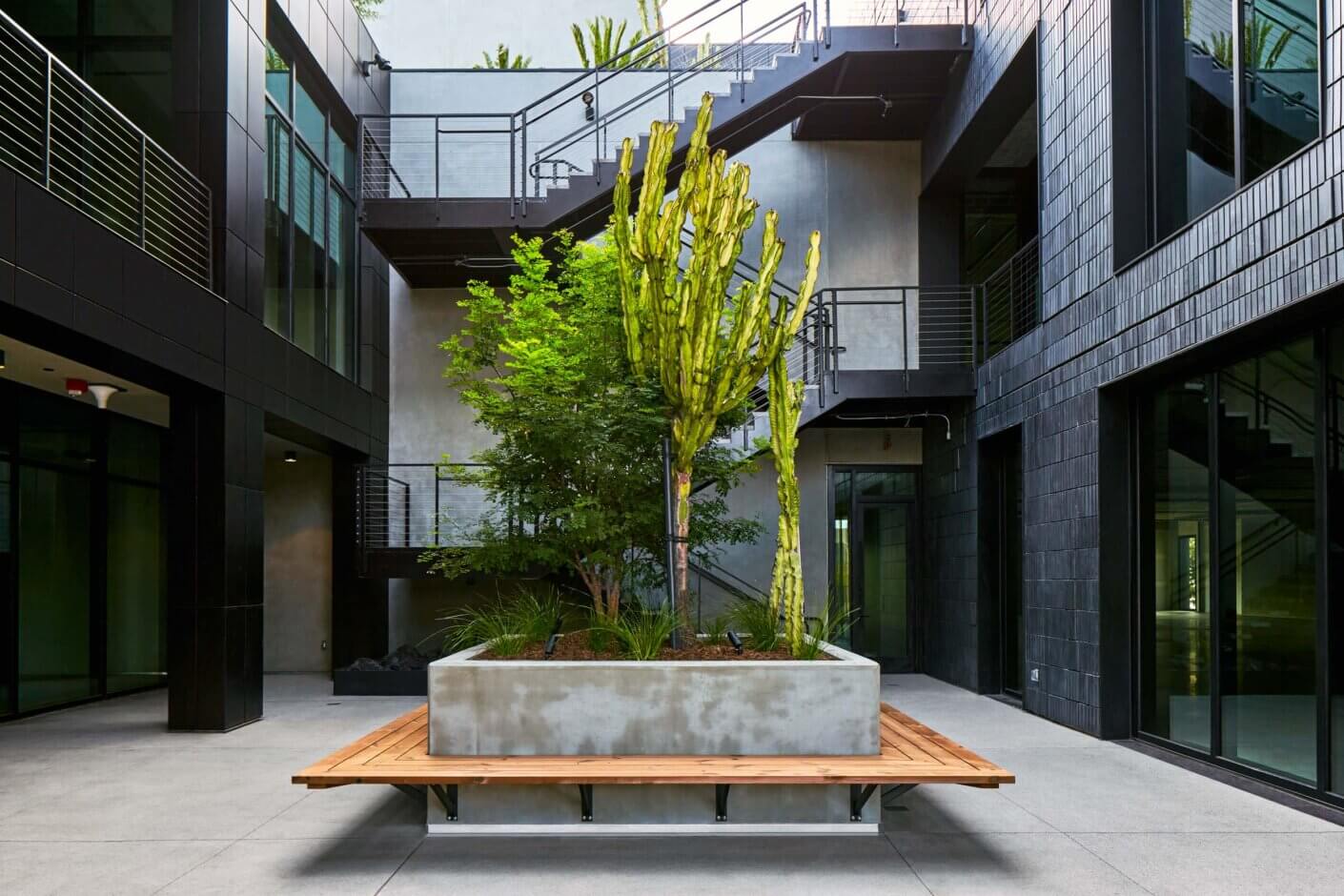 Modern courtyard with cactus plants and a bench in an urban building setting.