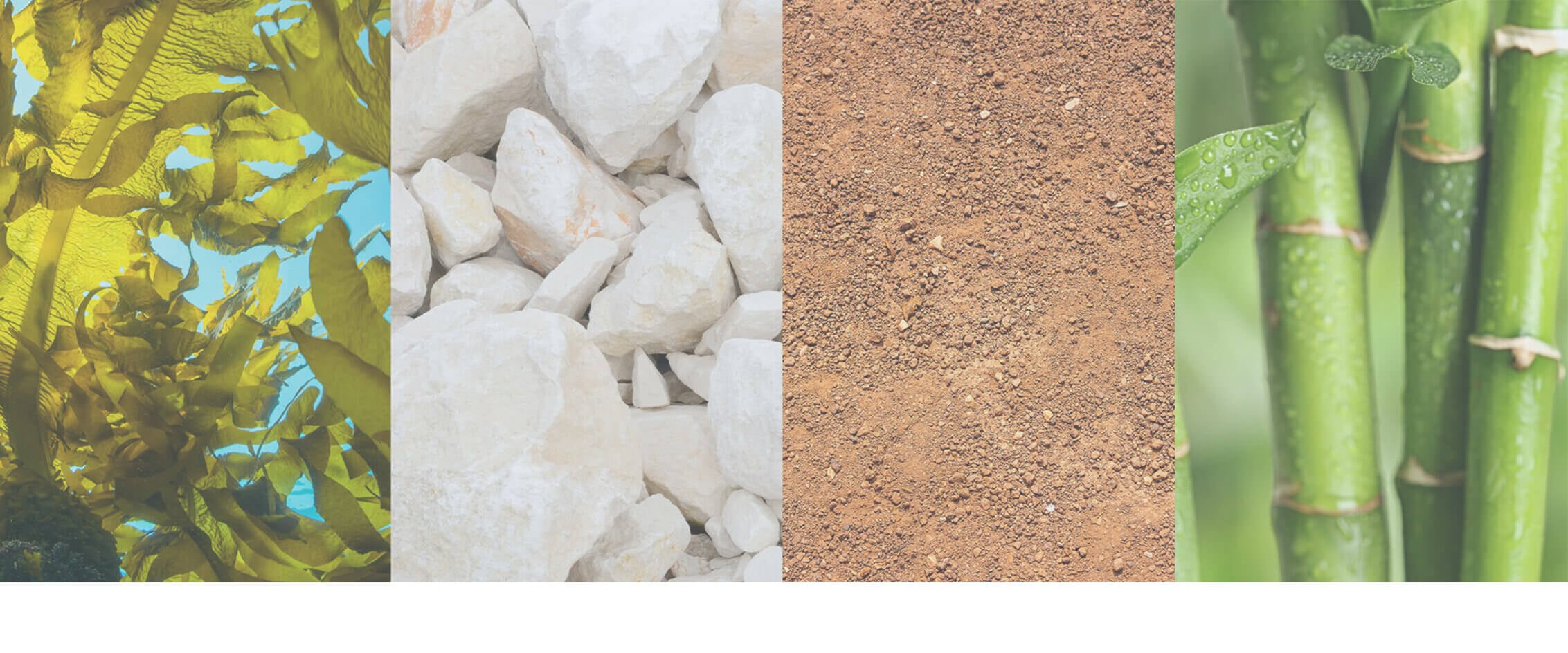 Seaweed, rocks, soil, and bamboo textures side by side.