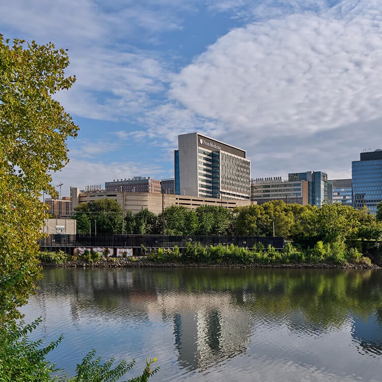 Cityscape view featuring buildings near a river, with green trees in the foreground reflecting in the water under a blue sky.