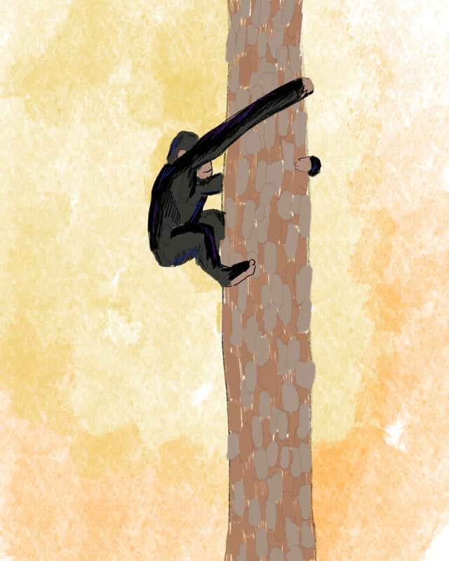 vimeo placeholder image